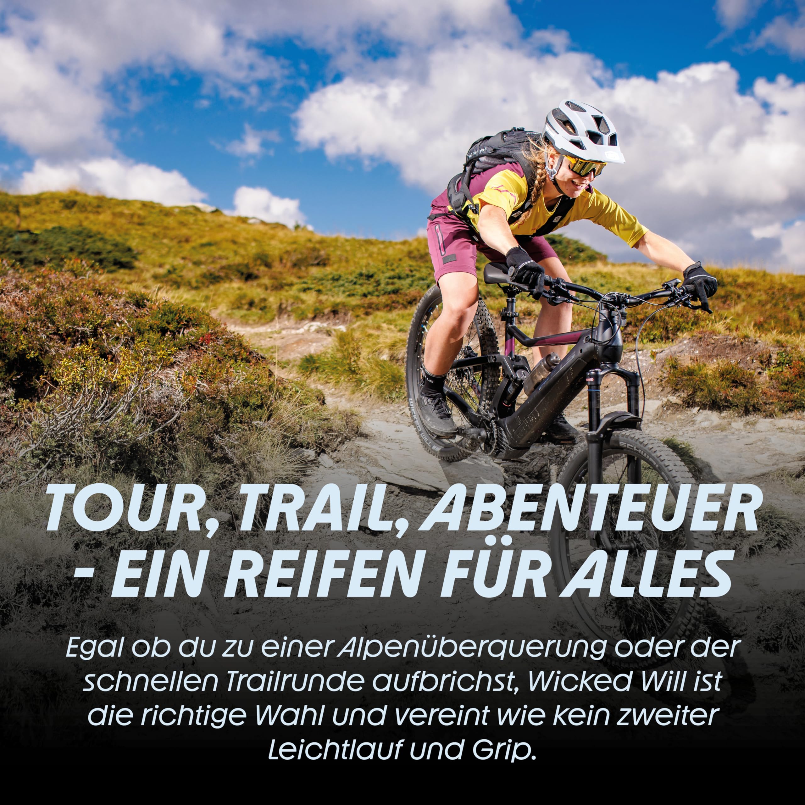 schwalbe-wicked-will-performance-faltreifen-29x2-60-65-622-tubeless-ready image 3
