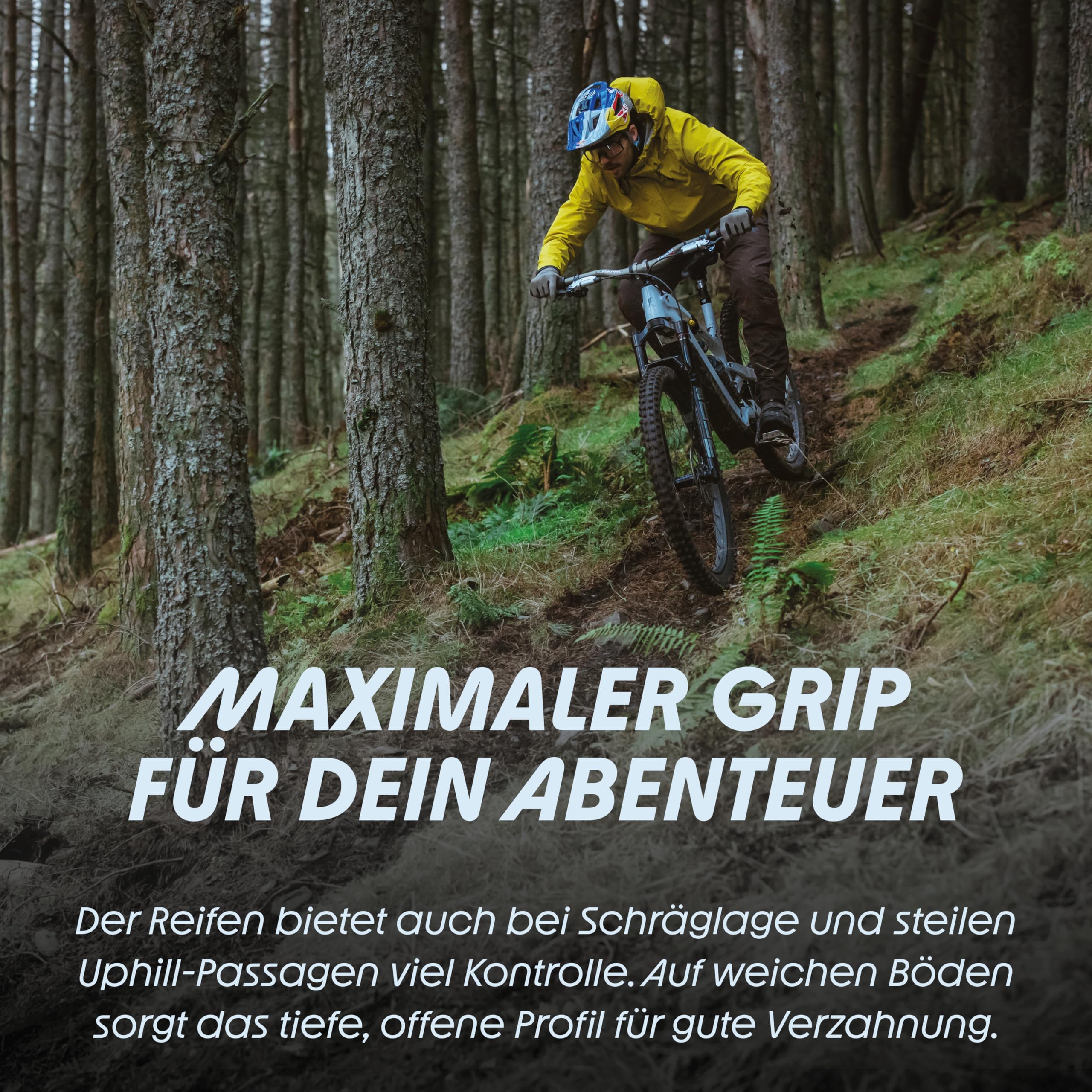 schwalbe-shredda-rear-mtb-reifen-gravity-pro-radial-mountainbike-e-mtb image 3