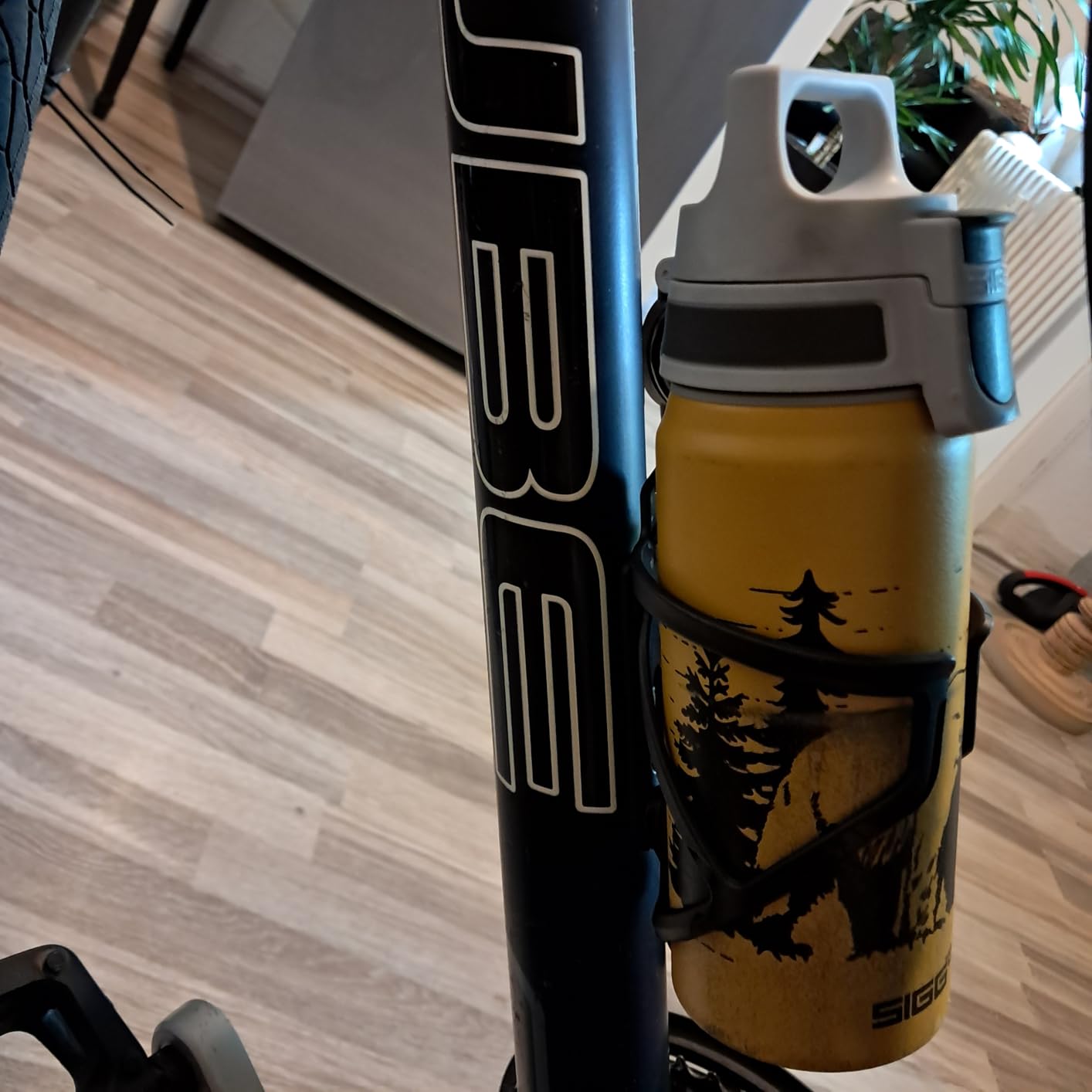 Guter Allrounder für wenig Geld
