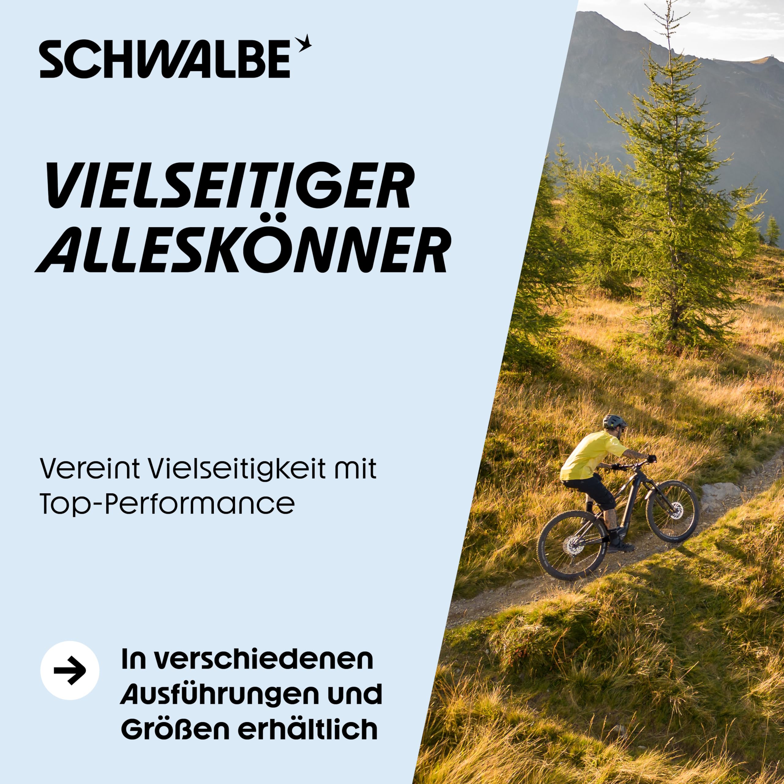 schwalbe-wicked-will-performance-faltreifen-29x2-60-65-622-tubeless-ready image 5